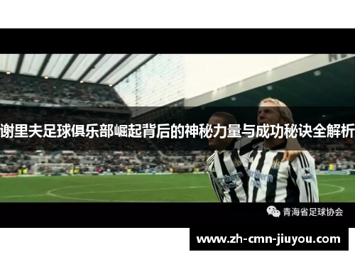 谢里夫足球俱乐部崛起背后的神秘力量与成功秘诀全解析