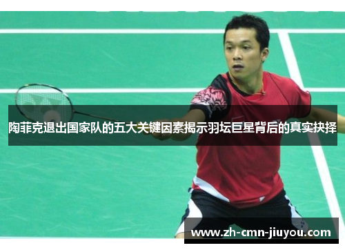陶菲克退出国家队的五大关键因素揭示羽坛巨星背后的真实抉择