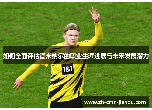 如何全面评估德米纳尔的职业生涯进展与未来发展潜力