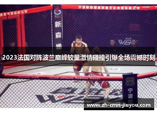 2023法国对阵波兰巅峰较量激情碰撞引爆全场震撼时刻